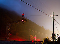 Image © Chase Gunnoe