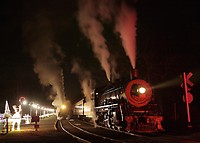 Image © Dennis A. Livesey