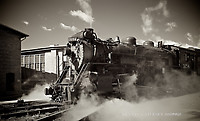 Image © Dennis A. Livesey