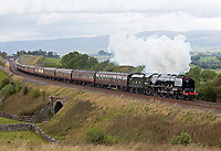Image © Graham Williams