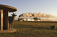 Image © Andrew Blaszczyk (2)