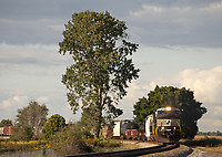 Image © Chris Henchey (The Hench)