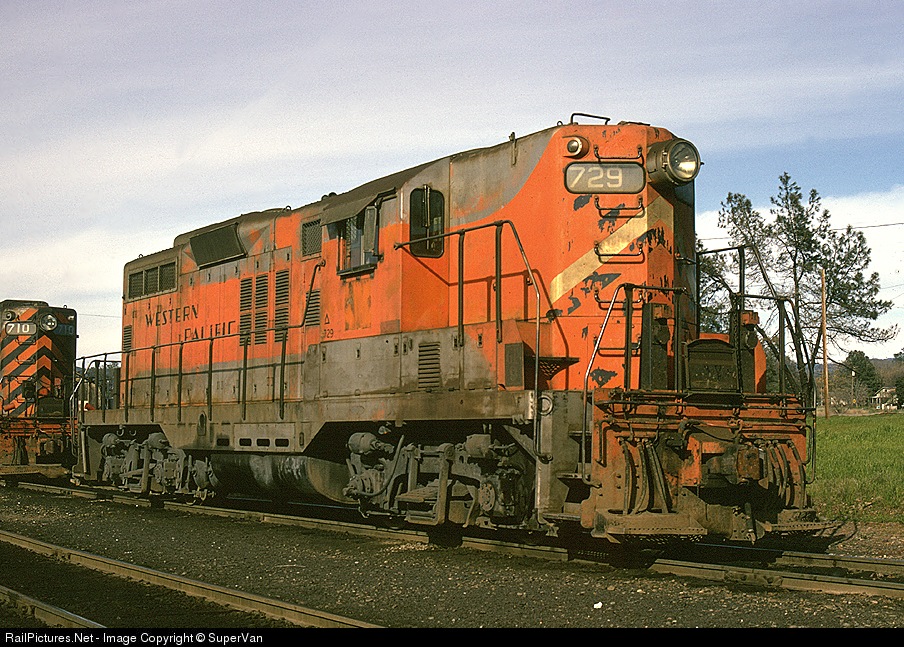 8101.1119907260.jpg