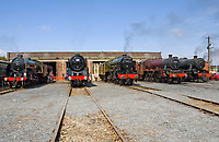 Image © Graham Williams