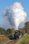 Image © Dennis A. Livesey-liveseyimages.com