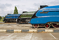 Image © Graham Williams