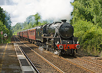 Image © Graham Williams