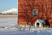 Image © Christopher Blaszczyk