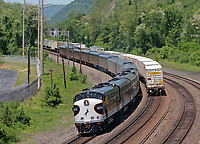 Image © Andrew Blaszczyk (2)