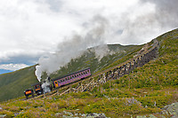 Image © Dennis A. Livesey
