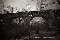 Image © Dennis A. Livesey