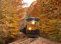 Image © Chase55671
