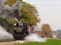 Image © Janusz Mrozek