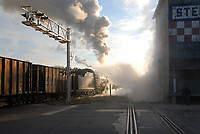 Image © Michael F. Allen