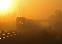 Image © Aaron J. Border