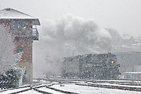 Image © Dennis A. Livesey-liveseyimages.com