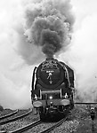 Image © Graham Williams