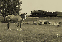 Image © Andrew Blaszczyk (2)