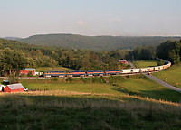 Image © Andrew Blaszczyk (2)