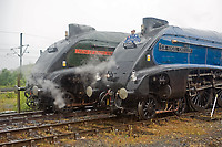 Image © Graham Williams