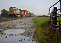 Image © Mike W.