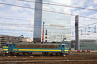 Image © Janusz Mrozek