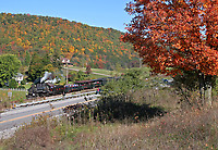Image © Andrew Blaszczyk (2)