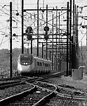 Image © Janusz Mrozek
