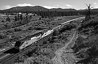 Image © Steven M. Welch