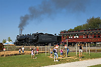 Image © Janusz Mrozek