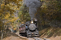 Image © Mitch Goldman
