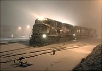 Image © Andrew Blaszczyk (2)