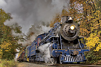 Image © Mitch Goldman