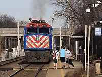 Image © Paul Hoffmann
