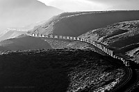 Image © Ross Fotheringham