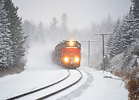 Image © Dave Schauer