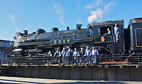 Image © Dennis A. Livesey-liveseyimages.com