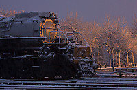 Image © Dennis A. Livesey-liveseyimages.com