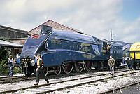 Image © Graham Williams