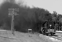 Image © Christopher Blaszczyk