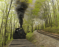 Image © Michael Summers