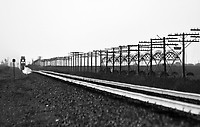 Image © Andrew Blaszczyk (2)