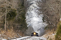 Image © Mitch Goldman