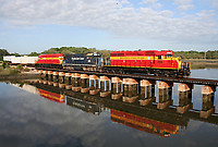 Image © Bob Pickering (BP)
