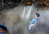 Image © Dennis A. Livesey-liveseyimages.com