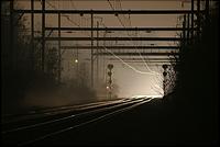 Image © Mitch Goldman