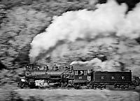 Image © Dennis A. Livesey-liveseyimages.com