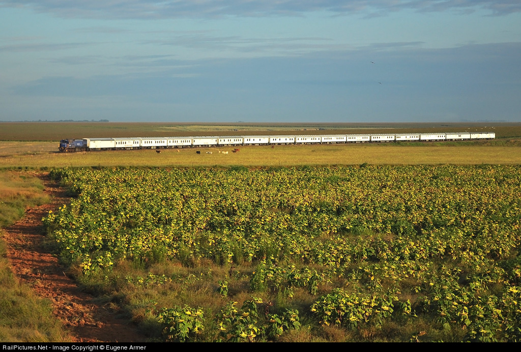 blank timeline worksheet. printable lank timeline time