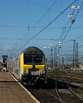 Image © Janusz Mrozek