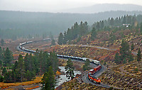 Image © Steven M. Welch